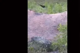 为什么最后那个小姐姐会吐泡泡？搞笑视频，你笑了吗视频封面