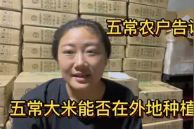 五常大米的种子在外地能否种植？农村小妹30年种地经验告诉你视频封面