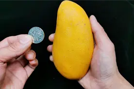 这才是芒果的正确打开方式，不流汁，不黏手，1个硬币帮您解决