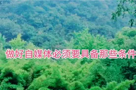 怎样做好自媒体以及做一个比较成功的自媒体人，看完你就豁然开朗视频封面