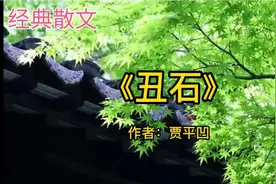 经典散文贾平凹《丑石》平凡的我们也可以从丑到极处，到美到极处视频封面