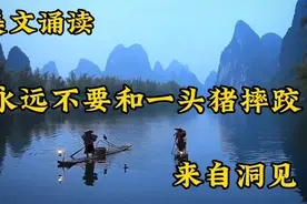 美文诵读《永远不要和一头猪摔跤》洞见美文视频封面
