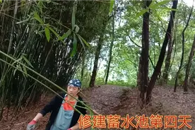 回乡建房修  蓄水池第四天  砌砖技术养成中