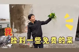 40岁小伙一天收入20元，生活苦，在废墟房子捡野菜吃，捡旧鞋子卖视频封面