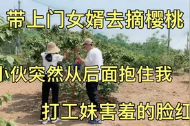 带相亲对象出去摘樱桃，小伙故意从后面抱住她，打工妹害羞的脸红视频封面