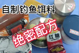 民间自制钓鱼饵料，绝密配方。第一次分享，野钓黑坑通用。第三期