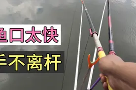 钓鱼高手为什么能连竿上鱼？饵料搭配很重要！饵料这样搭配上鱼快视频封面