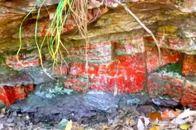 秦岭大山深处发现鸡血红矿脉，近距离拍摄太震撼啦，满地扔的都是视频封面