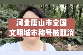 全国文明城市称号被取消视频封面