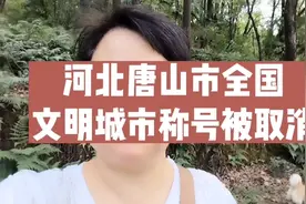 全国文明城市称号被取消视频封面