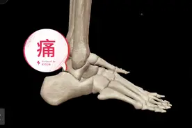 讲解：跟腱炎和外踝下侧疼痛视频封面