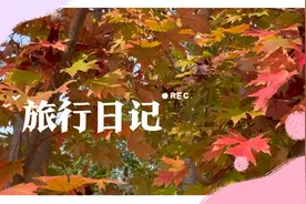 美景和好听的音乐，适合一个人吃饭，感动自己视频封面