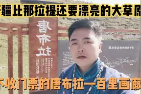 新疆一处不收门票比那拉提还漂亮的大草原，航拍唐布拉—百里画廊视频封面