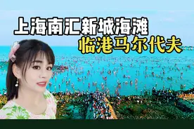 上海南汇新城海滩人气爆棚，被誉为临港马尔代夫，你来打卡了么？视频封面