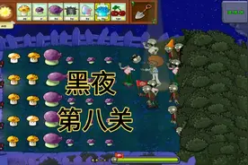 植物大战僵尸一代黑夜第8关实况(无删减)视频封面