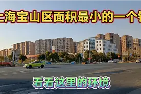 上海宝山区面积最小的一个镇，看看这里的环境视频封面