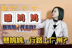 广东人请回答：戆鸠鸠行路上广州，究竟有什么隐喻？