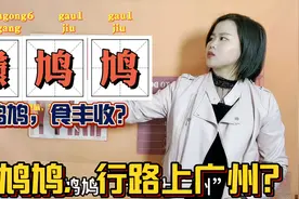 广东人请回答：戆鸠鸠行路上广州，究竟有什么隐喻？视频封面