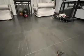 大橘突然回来了，橘白决定留下陪大橘（其实是它不想回家睡笼子）视频封面