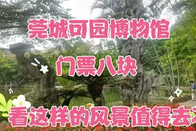 莞城可园博物馆，门票八块，看这样的风景值得去不？