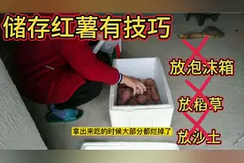 湖北大姐分享储存红薯有技巧，放几年都没问题，我也是刚知道