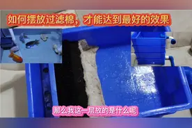 周转箱改装过滤，要想水清鱼靓，过滤棉这样摆放达到最好的效果？视频封面