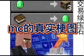 MC的那些神梗图