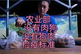 097-农业部明确我国没有肉狗，没有狗肉检疫标准视频封面