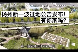 扬州新一轮拆迁，有你家吗？#花young豹开心视频封面