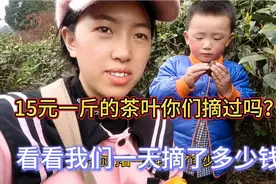 15元一斤的茶叶你们摘过吗？两个人摘了一整天赚了95元，值得吗？视频封面
