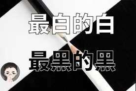 最黑的黑与最白的白！白到可以代替空调，黑到涂上就变二维
