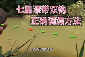 七星漂双钩钓法：正确的调漂分享！漂相清晰，中鱼率高！视频封面