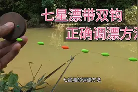 七星漂双钩钓法：正确的调漂分享！漂相清晰，中鱼率高！视频封面