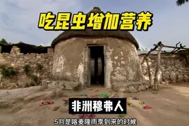 非洲原始部落穆弗人，吃昆虫增加营养，让火红蚁对抗白蚁。视频封面