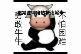 把某些网络热梗连起来，会怎样呢？