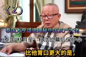 泰国媒体大亨揭秘中国灰产大佬 泰国“杜月笙”-杜浩的幕后保护者视频封面