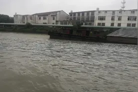 看一下能不能拍到每天发视频的美女驾驶员