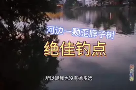 河里走水不能立漂怎么钓？今天就给大家分享一招，一样上鲤鱼视频封面