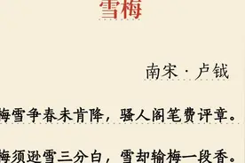 《雪梅·卢钺》古诗赏析视频朗诵视频封面