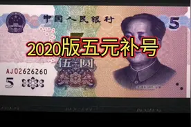 2020版五元到目前为止一共发行了多少个补票冠号视频封面
