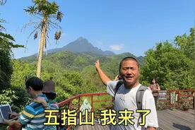 五指山我来了，这是海南最高的山峰，海拔1867米视频封面