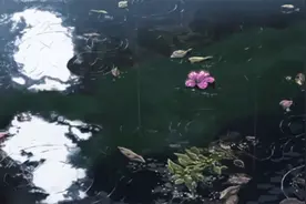 酒醉的人生#人生很多事醉了才明白#视频封面