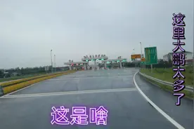 这里是寿光和东营交界处，看看这里交界处有什么不一样视频封面