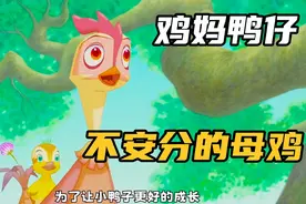鸡妈妈含辛茹苦的将小鸭养大了，没想到最后....看完猛男都落泪了