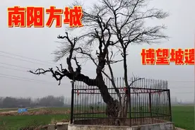 南阳方城博望坡：三国时期的古战场，火烧后的今天是什么样子视频封面
