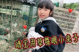 晴宝用草莓喂兔子，旁边公鸡总来抢食，鸡兔同笼，晴宝狠狠教训它视频封面