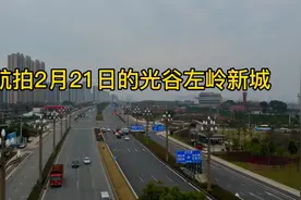 光谷东改名为武汉新城啦，未来一路至未来三路为新城的核心区视频封面