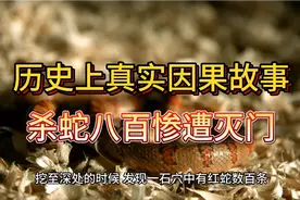 历史上真实因果故事，杀蛇八百惨遭灭门。万事皆空，唯有因果不空视频封面