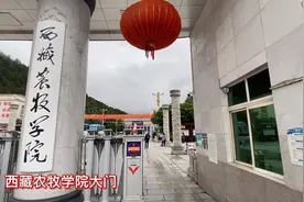 西藏农牧学院，森林里大学视频封面