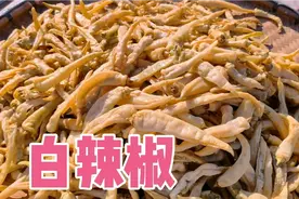 教你制作“白辣椒”，从摘辣椒到晒，学会这2点，辣椒又白又不烂